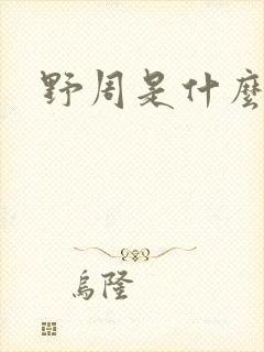 野周是什么意思