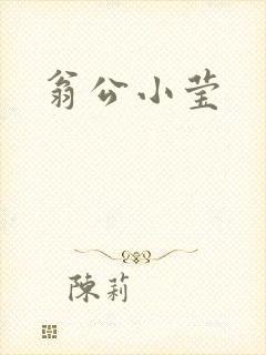 翁公小莹