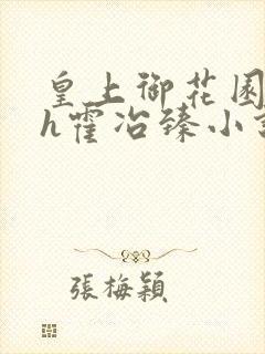 皇上御花园hlh霍冶臻小说