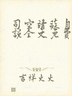 司空靖苏月汐小说全文免费阅读