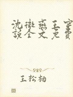 沈微燕王穿越小说全文免费阅读