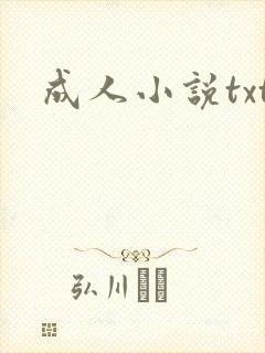 成人小说txt