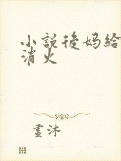 小说后妈给我消消火