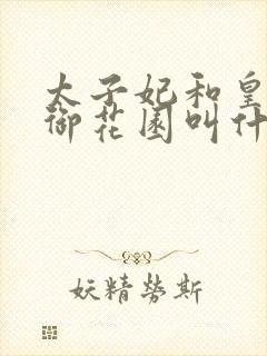 太子妃和皇帝在御花园叫什么小说