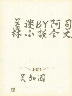 着迷BY阿司匹林小说全文免费阅读