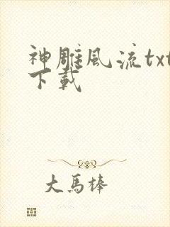 神雕风流txt下载