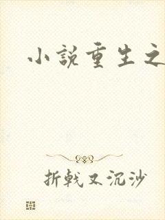 小说重生之官道