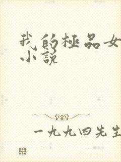 我的极品女老师小说