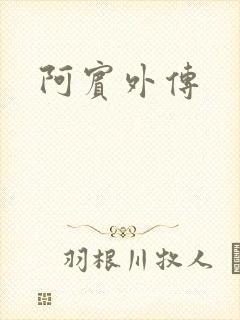 阿宾外传