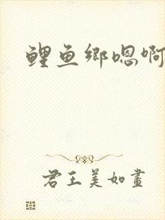 鲤鱼乡嗯啊