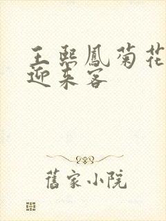 王熙凤菊花门初迎来客