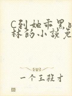 C到她乖黑暗森林的小说免费