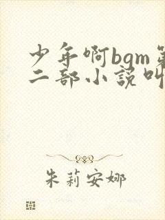 少年啊bgm第二部小说叫什么