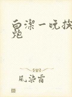 白洁一晚挨十二炮