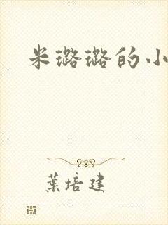 米璐璐的小说