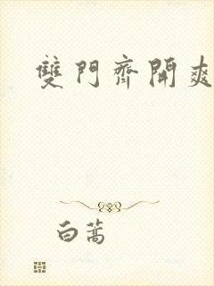 双门齐开爽死啦