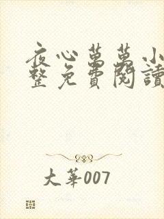 夜心万万小说完整免费阅读全文