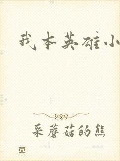 我本英雄小说