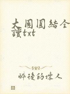 大团圆结全文阅读txt