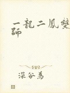 一龙二凤双飞老师