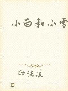 小白和小雪