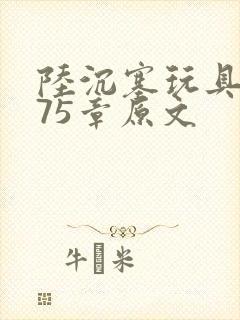 陆沉塞玩具高速75章原文