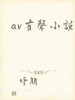 av有声小说