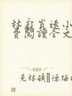 林毅肖远小说免费阅读全文最新章节