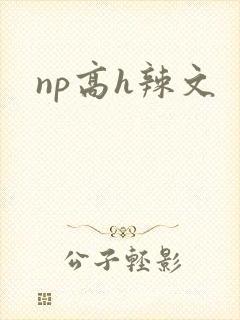 np高h辣文