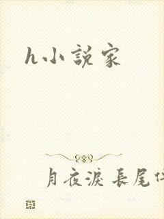 h小说家