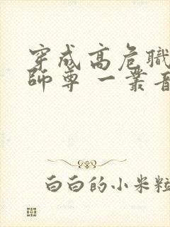 穿成高危职业之师尊 一丛音