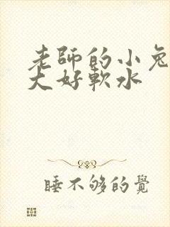老师的小兔子好大好软水