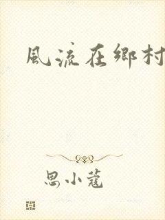 风流在乡村