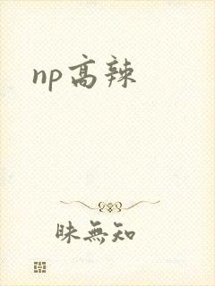 np高辣