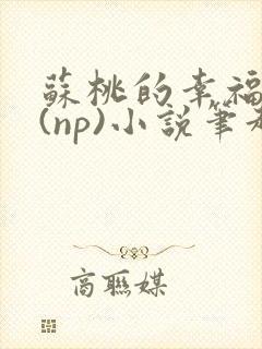 苏桃的幸福生活(np)小说笔趣阁沐沐