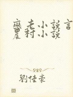 恋老小说言情网农村小说