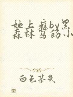 她上瘾by黑暗森林写的小说免费阅读无弹窗