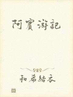 阿宾游记