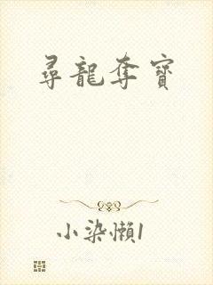 寻龙夺宝