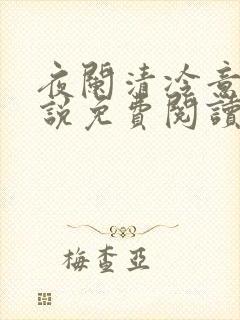 夜阑清冷意欢小说免费阅读