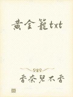 黄金笼txt