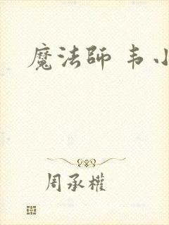 魔法师 韦小宝