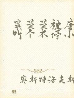 宁荣荣被唐三桶叫个不停小说