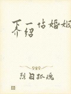 下一站婚姻剧情介绍