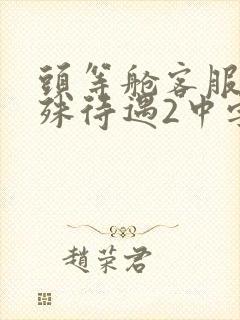 头等舱客服的特殊待遇2中字