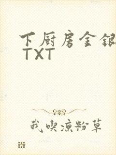 下厨房金银花露 TXT