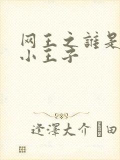 网王之谁是我的小王子