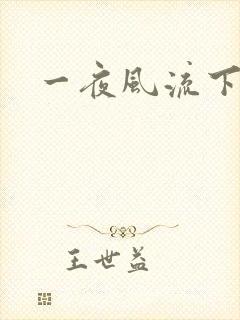 一夜风流下载