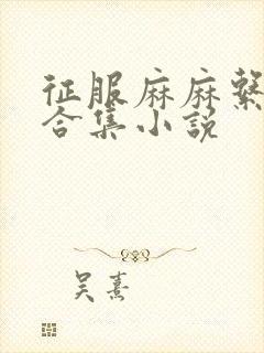 征服麻麻系列大合集小说