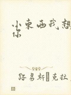 小东西我想弄坏你